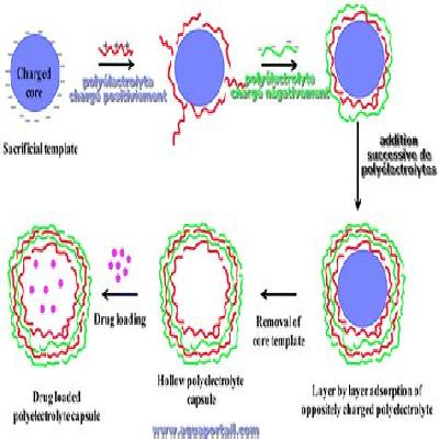 Poly Electrolyte