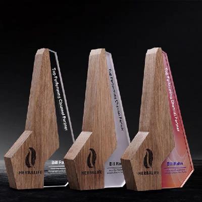 Customized Award Trophies