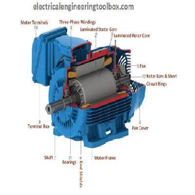 Three Phase Induction Electric Motor