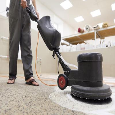 Carpet Shampooing Service