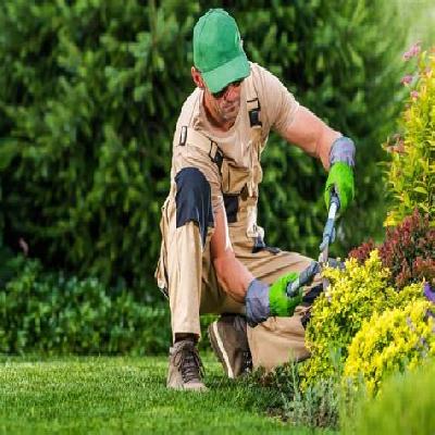 Commercial Plants and Lawn Maintenance Service