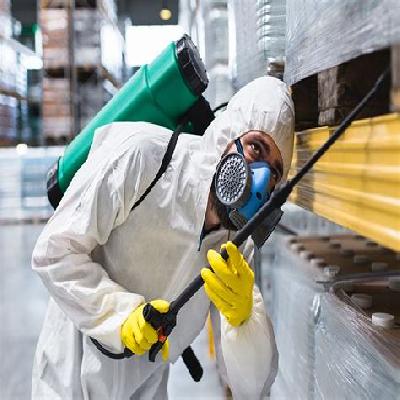 Professional Pest Control Services Bangalore