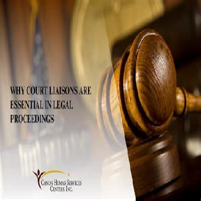 Legal Liaison Services