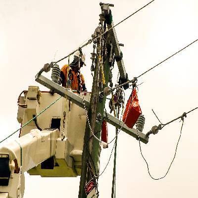 Electrical Grids Service