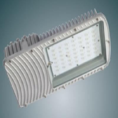 Crompton LED Street Light LSTP-45-CDL