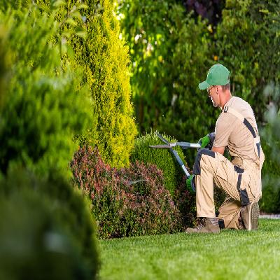 Garden Maintenance Service