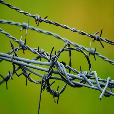 Barbed Wire