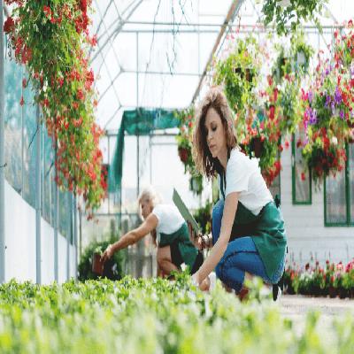Horticulture Services For Corporate Houses