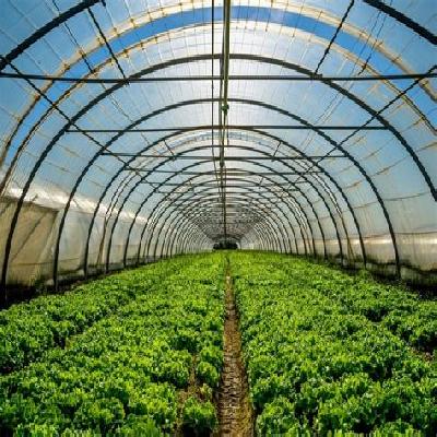 Horticulture Services For Farm Houses