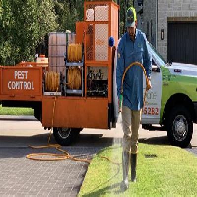 Pest Control Services