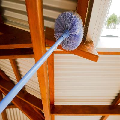 Cob Web Cleaning
