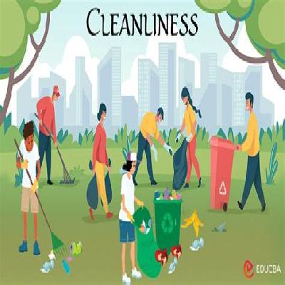 Cleanliness Service In City