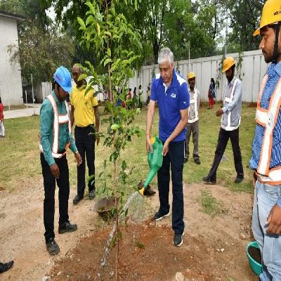 Tree Plantation Service in City