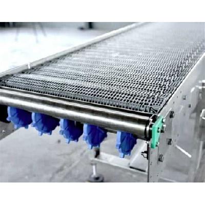 SS Conveyor Belt