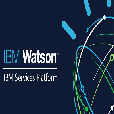 Ibms Service