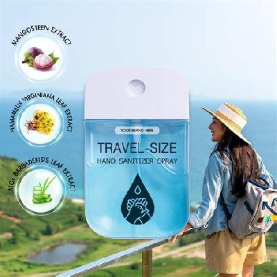 Sanitizer Spray Services