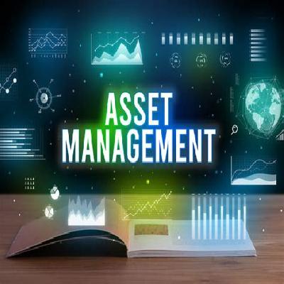 Asset Management Consulting Service