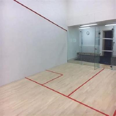 Squash Court Repairing Systems