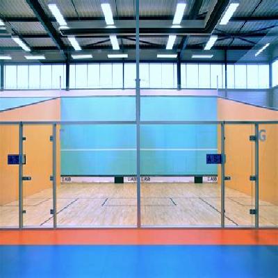 Squash Court Wall Painting