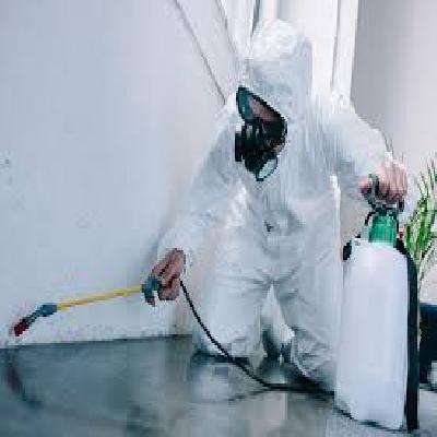 Pest Control Services