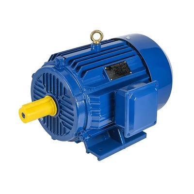 Standard Motor