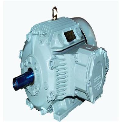 Crompton Motors For Hazardous Areas HV