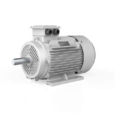 AC Induction Motor