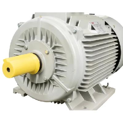 AC Induction Electric Motor