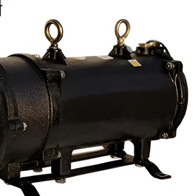 2 HP Induction Motor