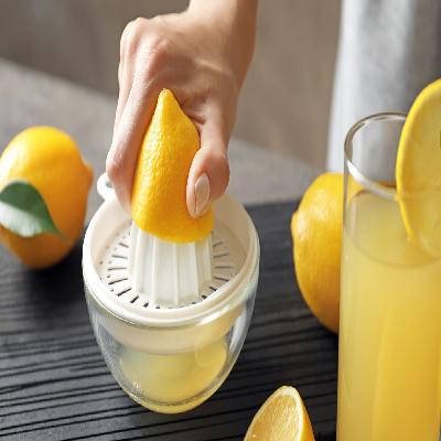 Lemon Squeezer