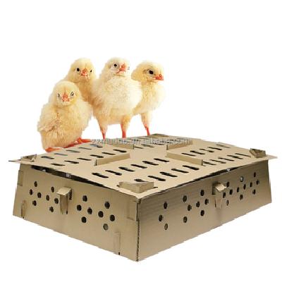 Chick Transport Box