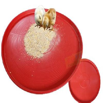 Chicken Feeding Tray