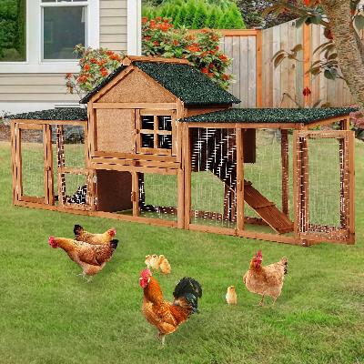 Poultry Cage