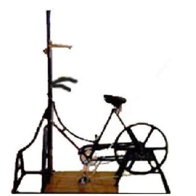 Bicycle Ergograph
