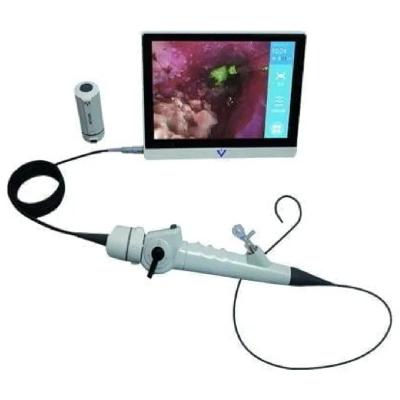 Endoscopes