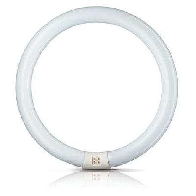 Fluorescent Ring Lamp