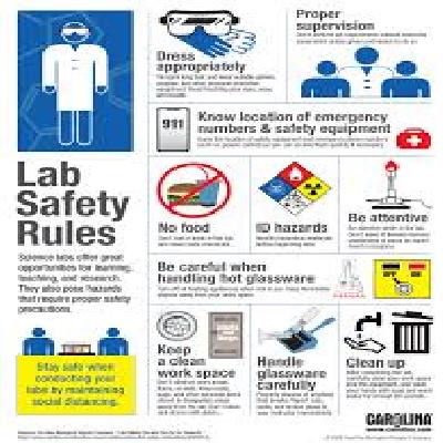 Charts For Lab Safety Rules