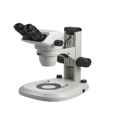 Dissecting Microscopes
