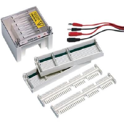 Electrophoresis Horizontal - Mini