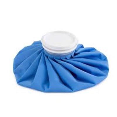 Ice Bag