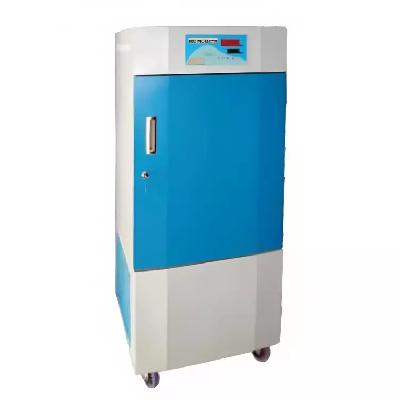 Nsaw Bod Incubator Digital