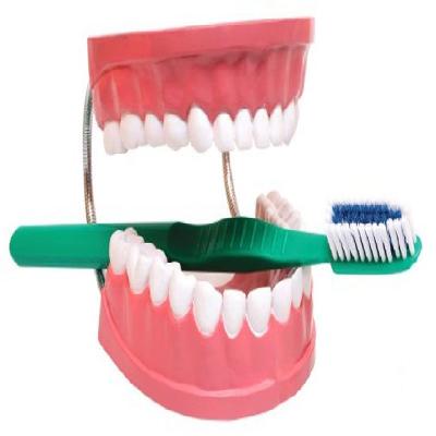 Nsaw Dental Care Model