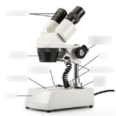 Nsaw Dissecting Microscope