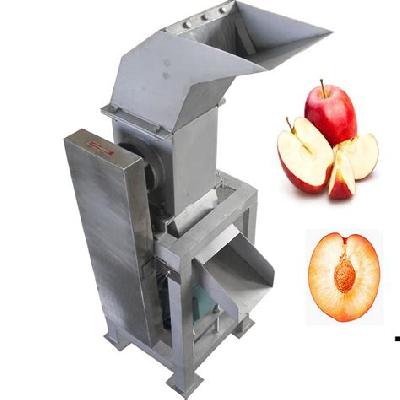 NSAW FRUIT CRUSHER MACHINE