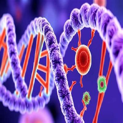 Nsaw RNA Fiber Model