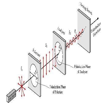 Polorizer and Analyzer