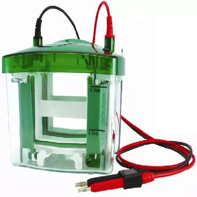 Vertical Electrophoresis System - Mini