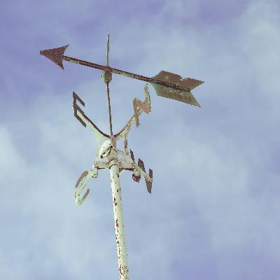 Wind Vane Wind Direction