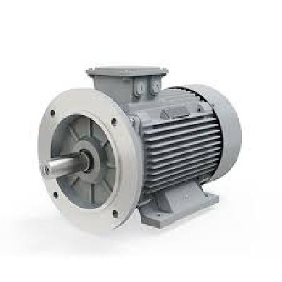 2 Pole Model Motor