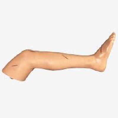 Advanced Surgical Suture Leg